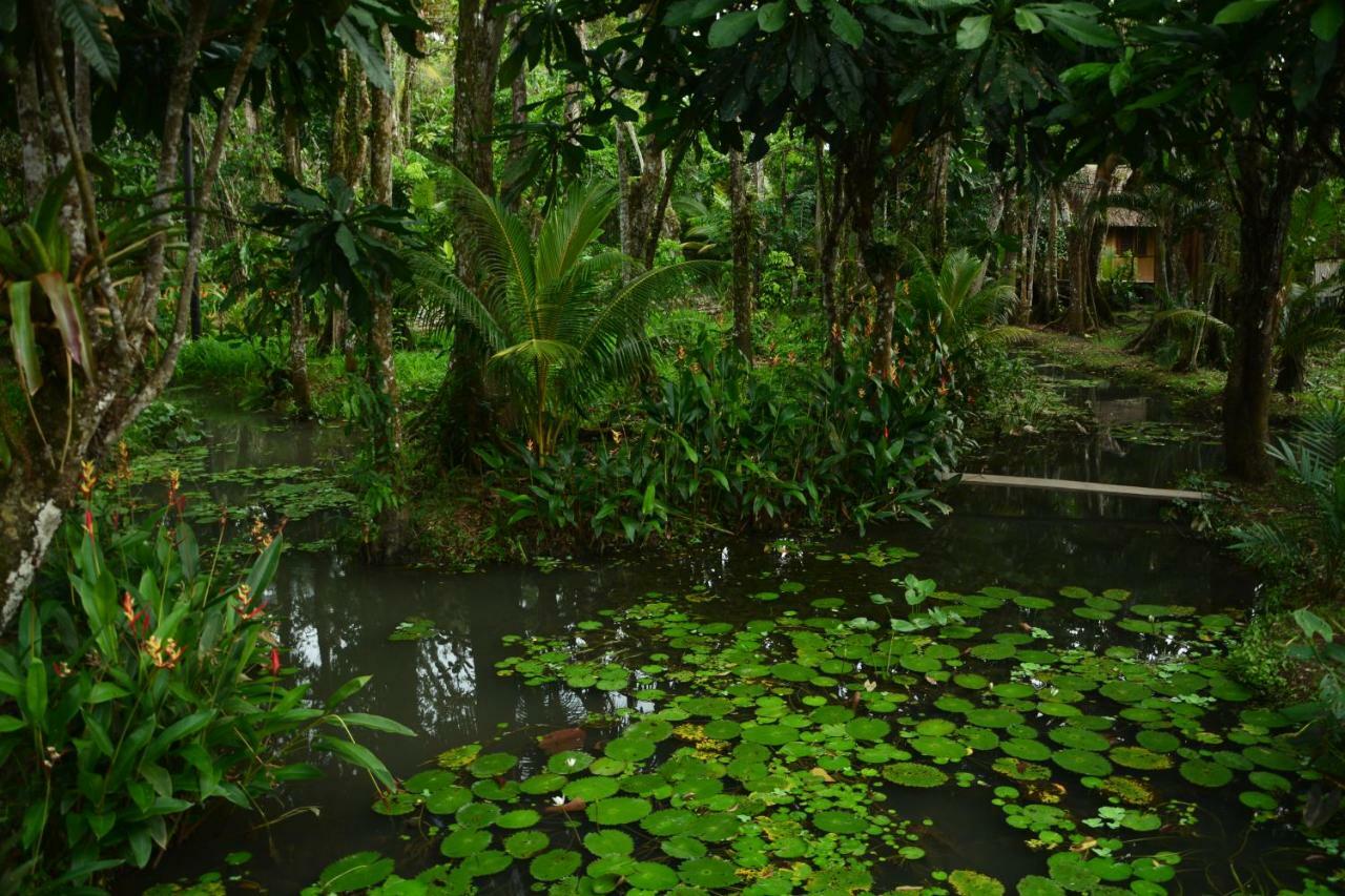 Hotel Kangaroo Y Restaurante Rio Dulce Town Dış mekan fotoğraf