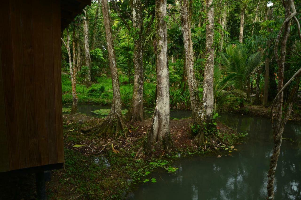 Hotel Kangaroo Y Restaurante Rio Dulce Town Dış mekan fotoğraf