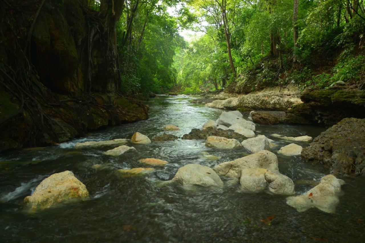 Hotel Kangaroo Y Restaurante Rio Dulce Town Dış mekan fotoğraf